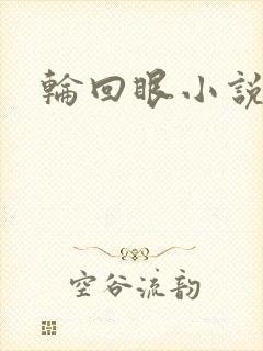 轮回眼小说