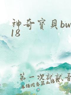 神奇宝贝bw118