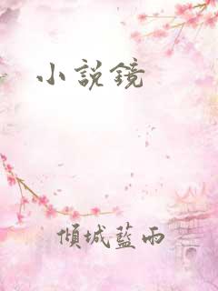 小说镜