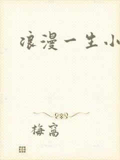 浪漫一生小说网
