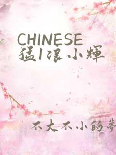 CHINESE猛1浪小辉