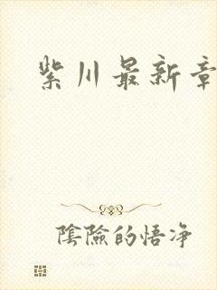 紫川最新章节