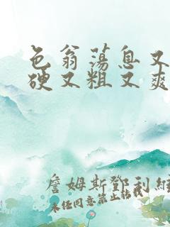 色翁荡息又大又硬又粗又爽小莹