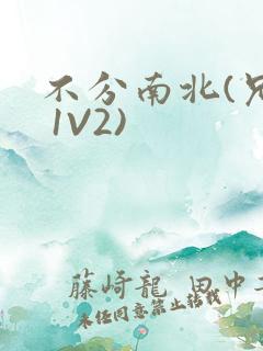 不分南北(兄弟 1V2)