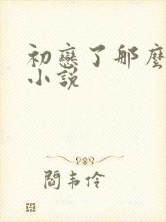 初恋了那么多年小说