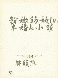 粉嫩的她1v1军婚h小说