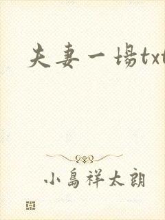 夫妻一场txt