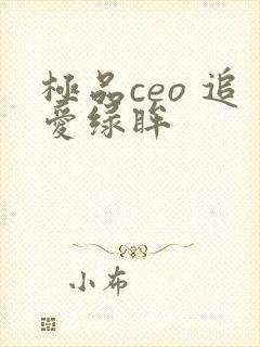 极品ceo 追爱绿眸