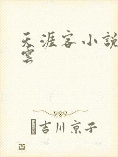 天涯客小说百度云