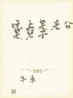 晚上是老公白天是儿子