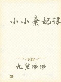 小小弃妃很倾城