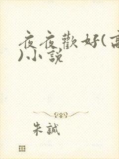 夜夜欢好(高h)小说
