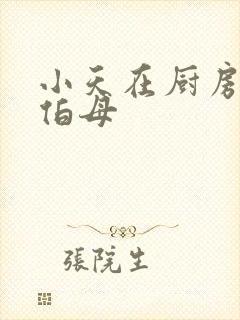 小天在厨房插杨伯母