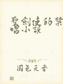 圣剑使的禁咒咏唱小说