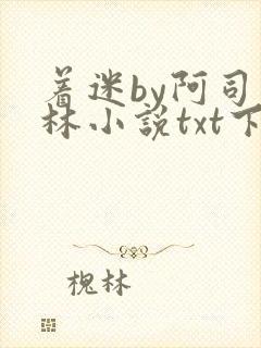 着迷by阿司匹林小说txt下载