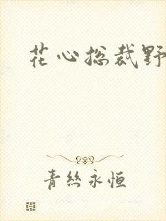 花心总裁野蛮妻