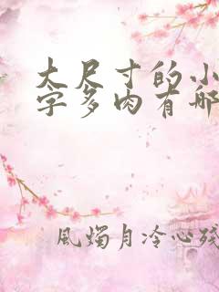 大尺寸的小黄说字多肉有哪些