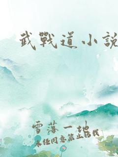 武战道小说