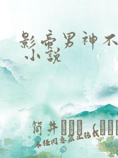 影帝男神不节制 小说