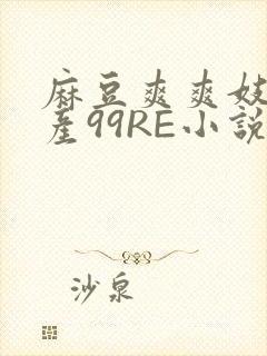 麻豆爽爽妓女国产99RE小说