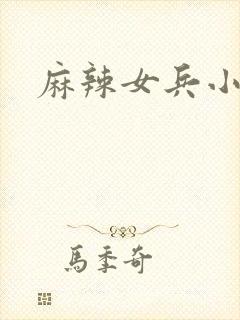 麻辣女兵小说版