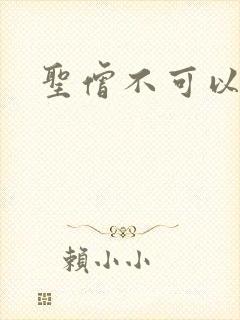 圣僧不可以