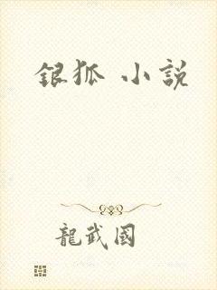 银狐 小说