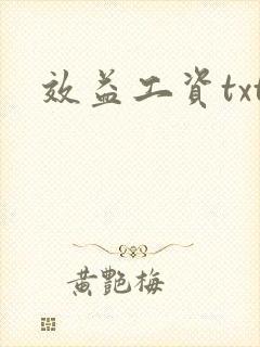 效益工资txt