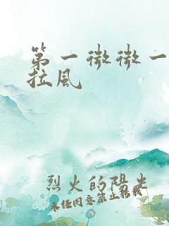 第一微微一笑很拉风