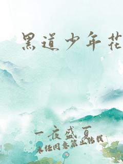 黑道少年花丛游