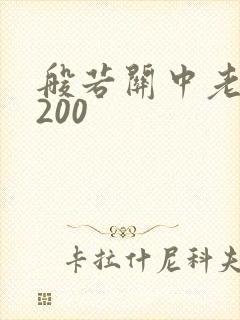 般若关中老人5200