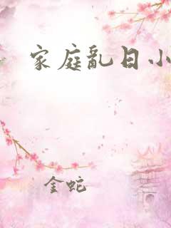 家庭乱日小说