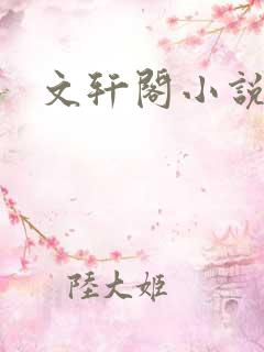 文轩阁小说网