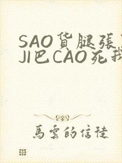 SAO货腿张开JI巴CAO死我