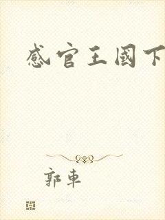 感官王国下载