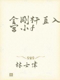 金刚杵直入莲花宫小f