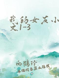 我的女友小洁全文1-3