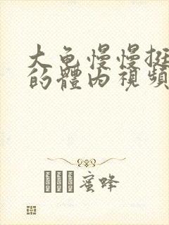 大龟慢慢挺进我的体内视频