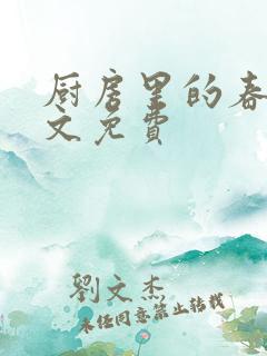 厨房里的春天全文免费