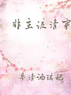 非主流清穿