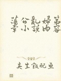 荡公乱妇第51章小说内容