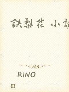 铁梨花 小说