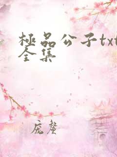 极品公子txt全集