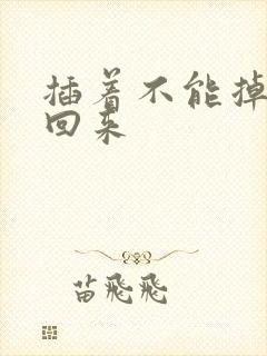 插着不能掉等我回来