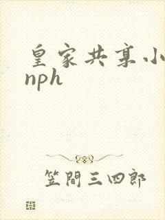 皇家共享小公主nph