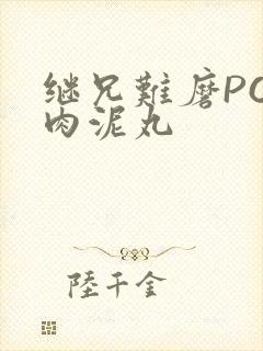 继兄难磨PO猪肉泥丸