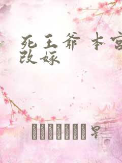 死王爷 本宫已改嫁