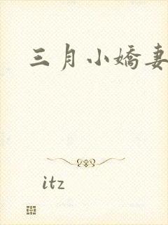 三月小娇妻
