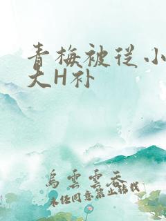 青梅被从小摸到大H补