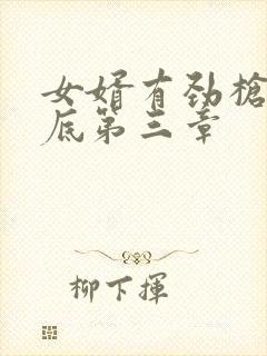 女婿有劲枪枪到底第三章